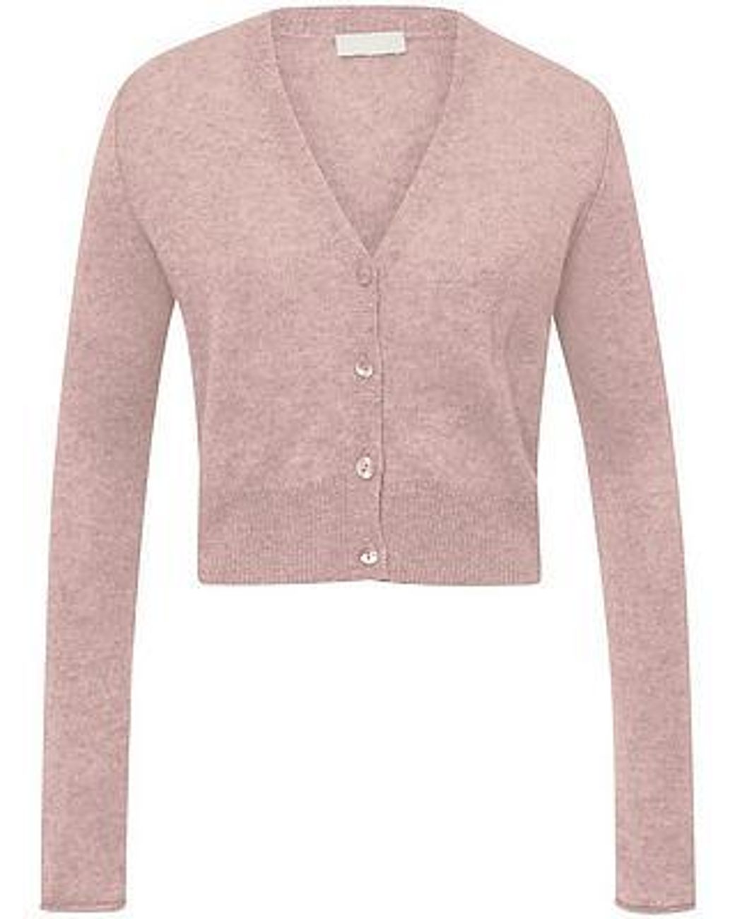 Peter Hahn Vest En 100% Kasjmier Van in het Pink
