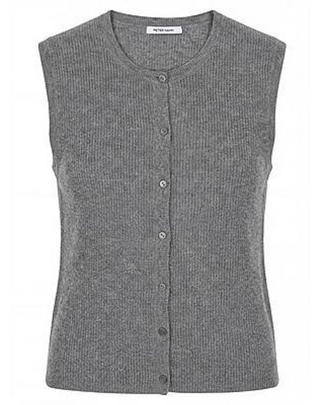 Peter Hahn Mouwloos Vest Van in het Gray