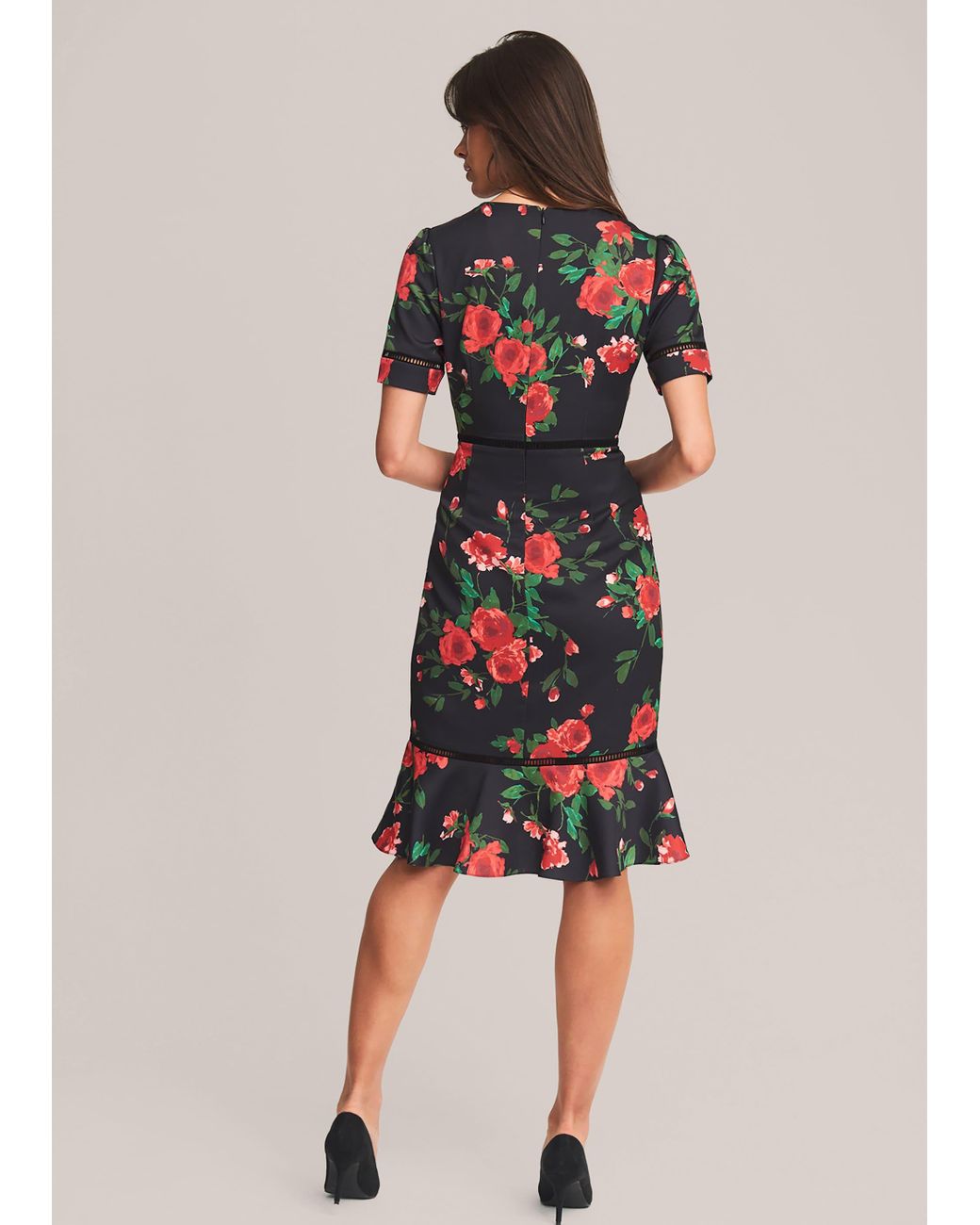 Phase Eight Black Hesita Rose Dress