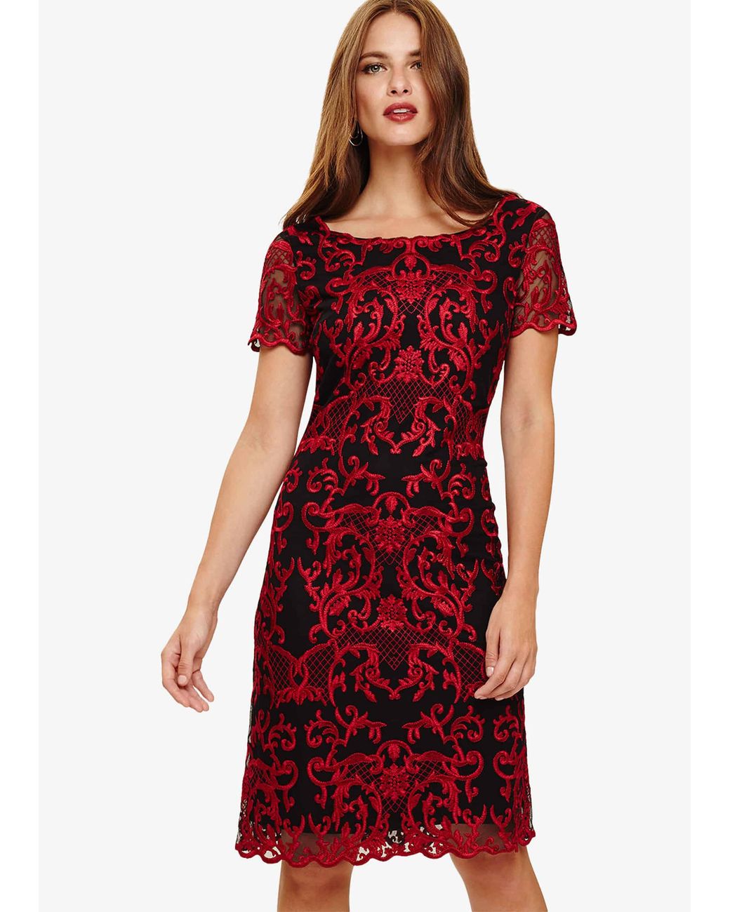 Phase Eight Tatiana Embroidered Dress