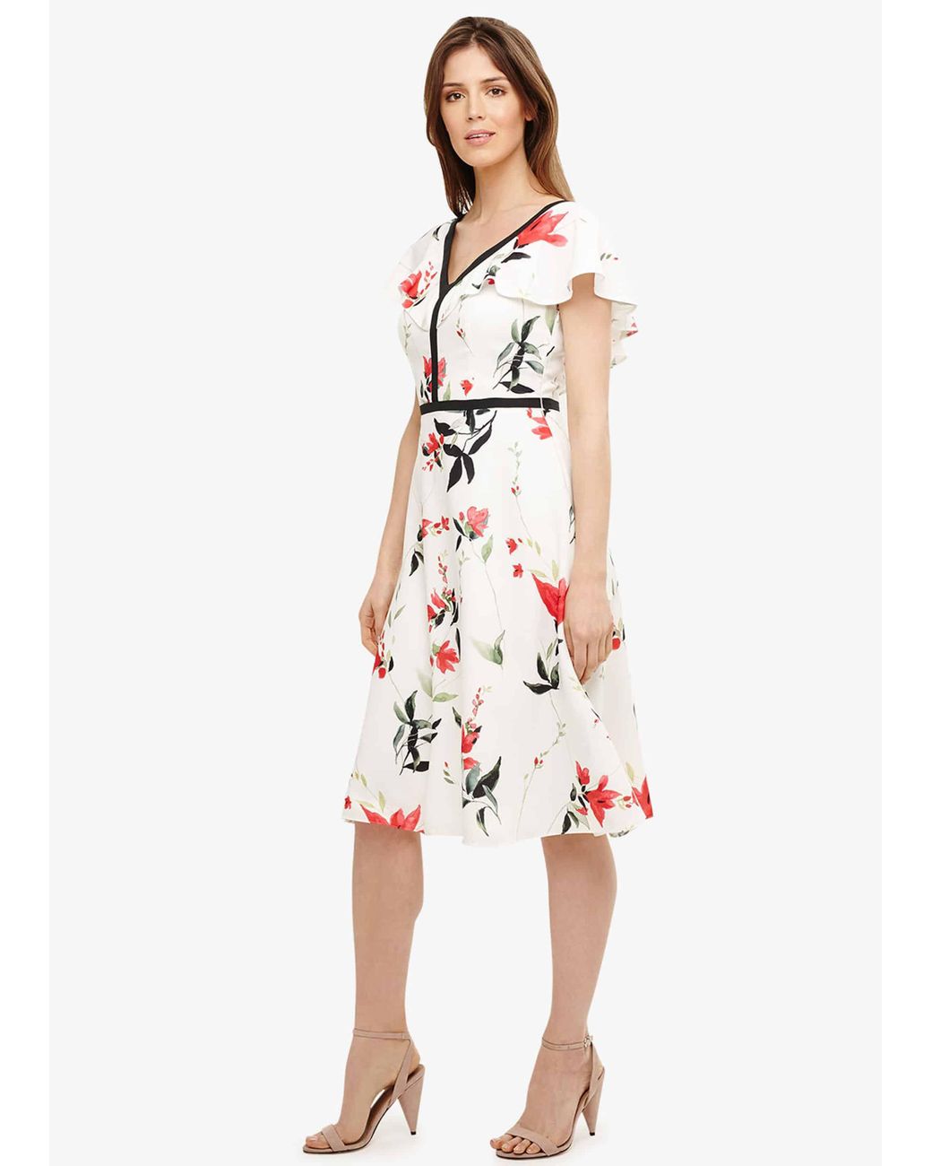 phase eight lana frill fitted dress