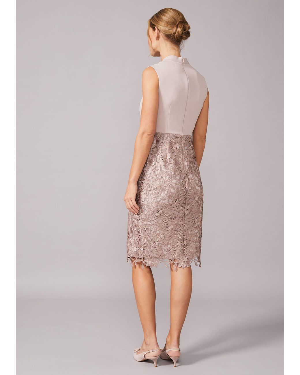 Phase Eight Multicolor Aletta Lace Fitted Dress