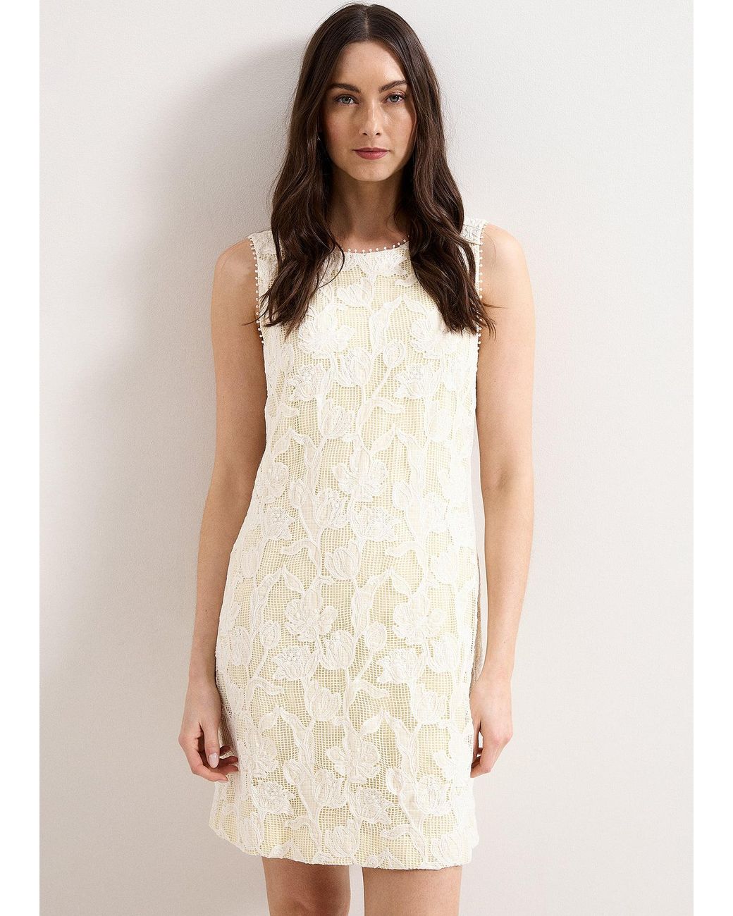 Phase Eight Natural Bryony Lace Shift Mini Dress