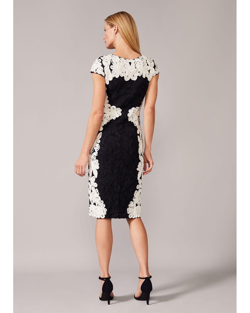 Phase Eight Blue Nori Tapework Lace Fitted Dress