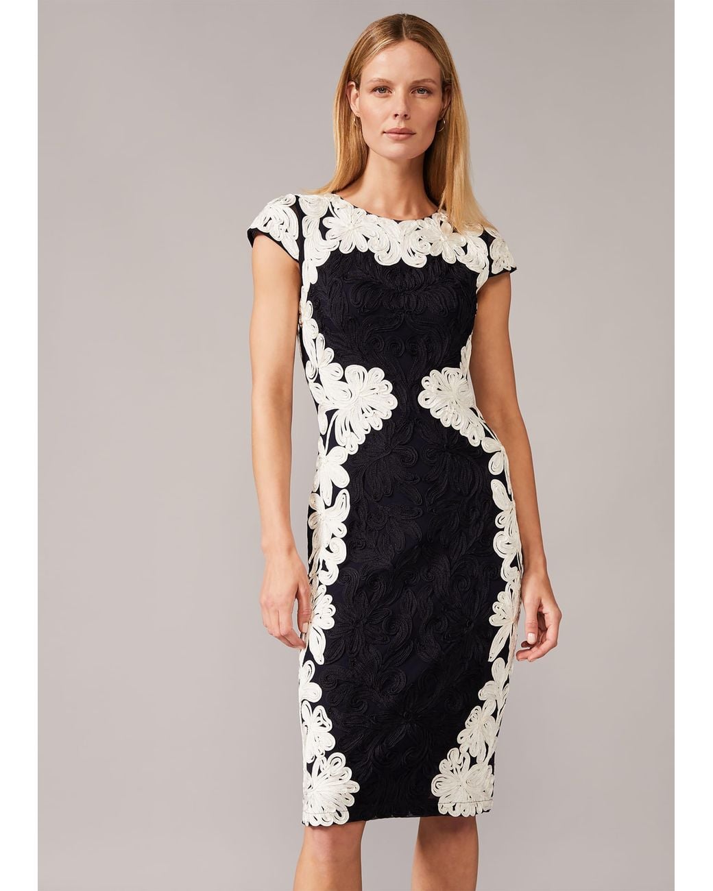 Phase Eight Blue Nori Tapework Lace Fitted Dress