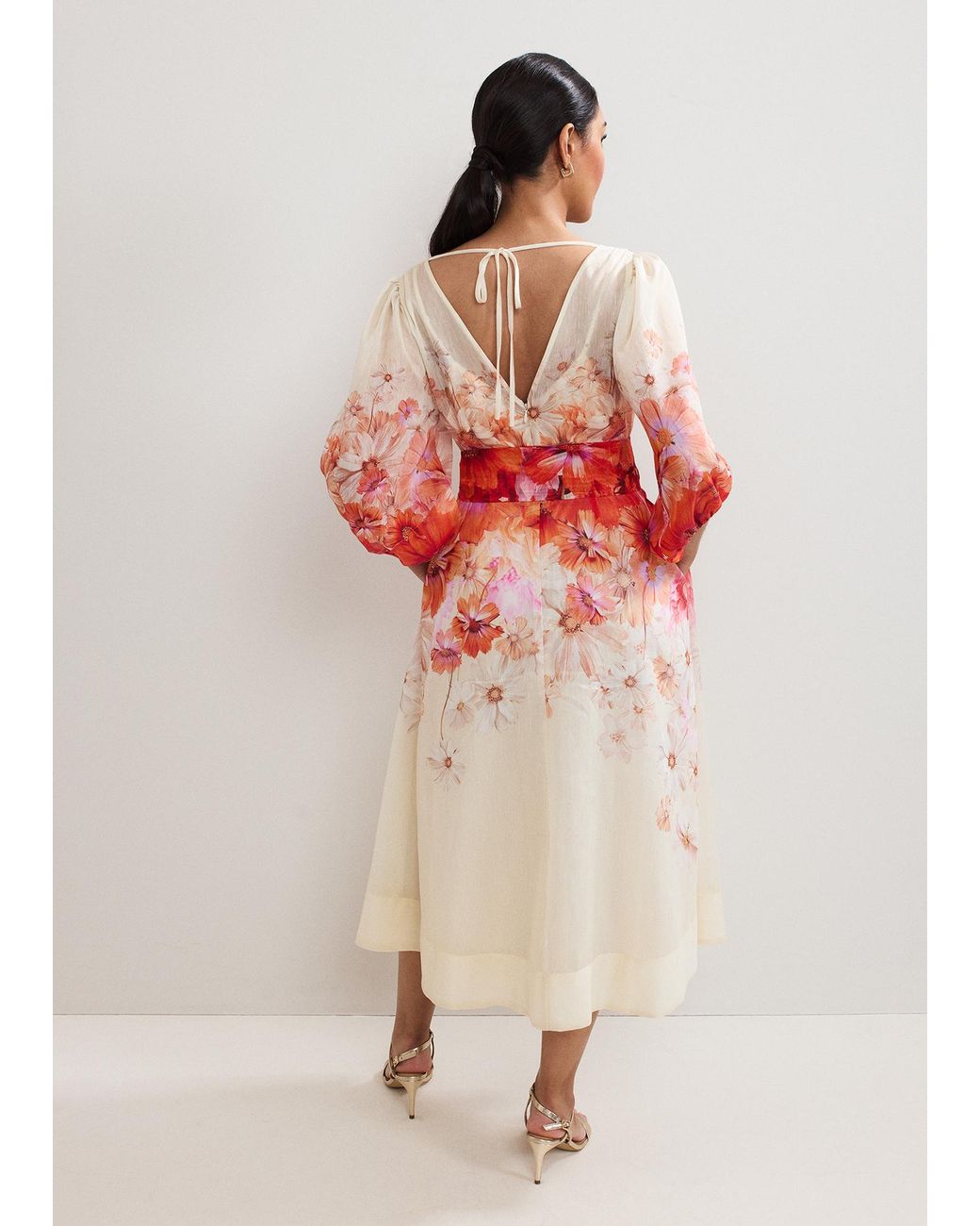 Phase Eight Red Petite Jaslyn Floral Dress