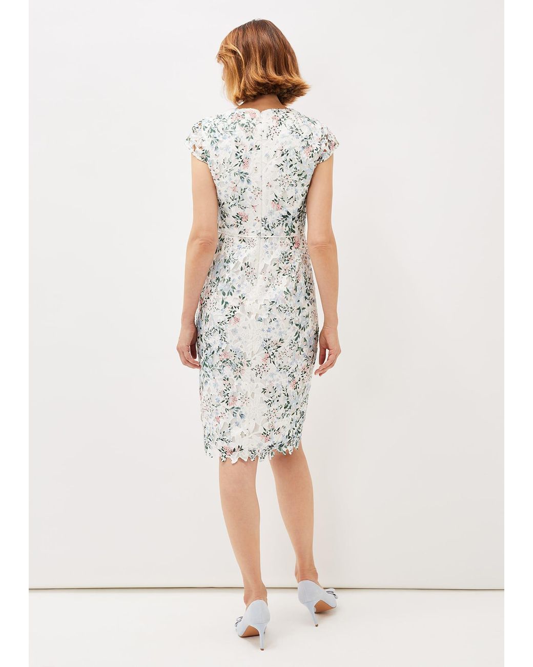 Phase Eight White Franky Floral Lace Fitted Dress