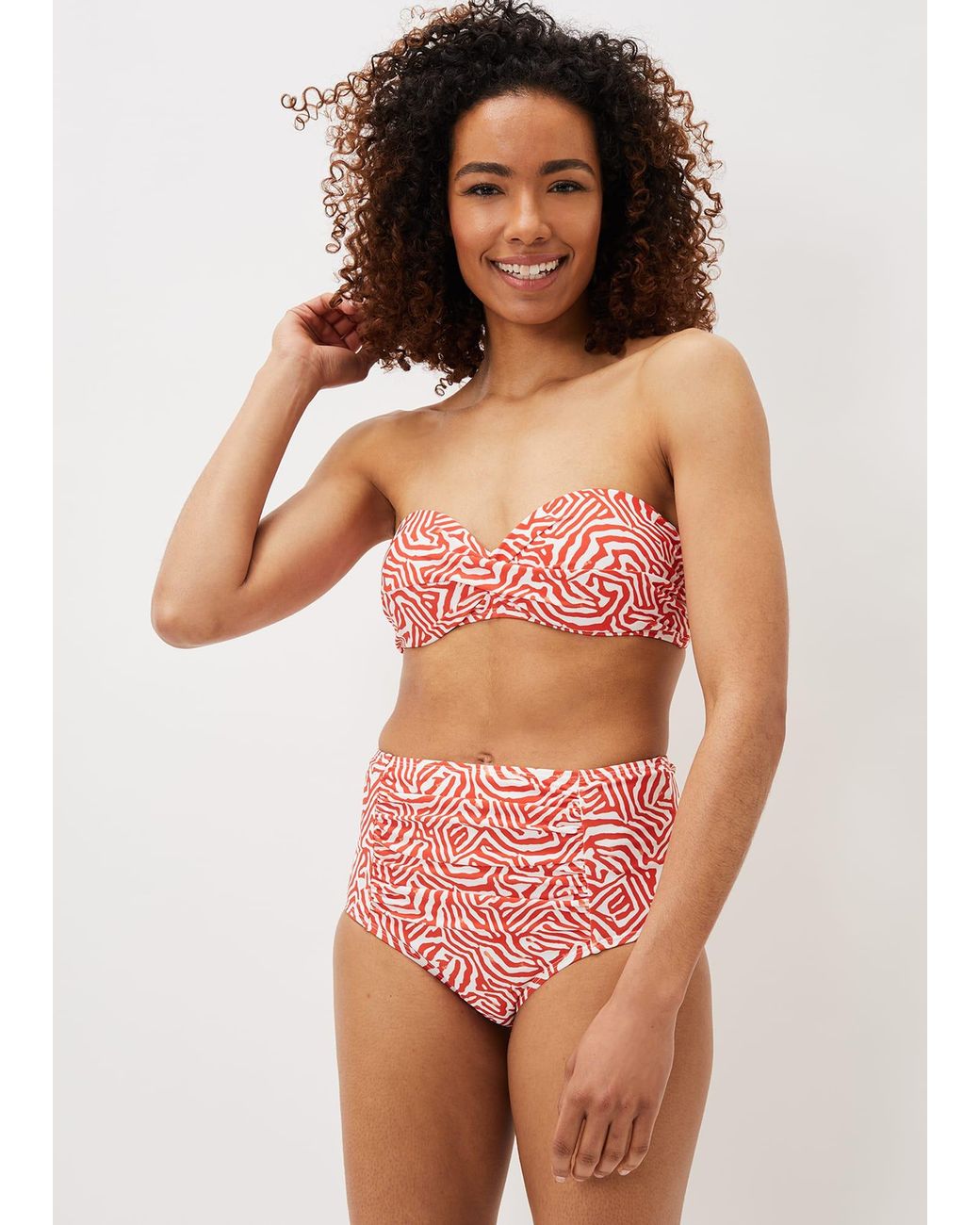 Phase Eight Multicolor Isabelle Zebra Bikni Brief