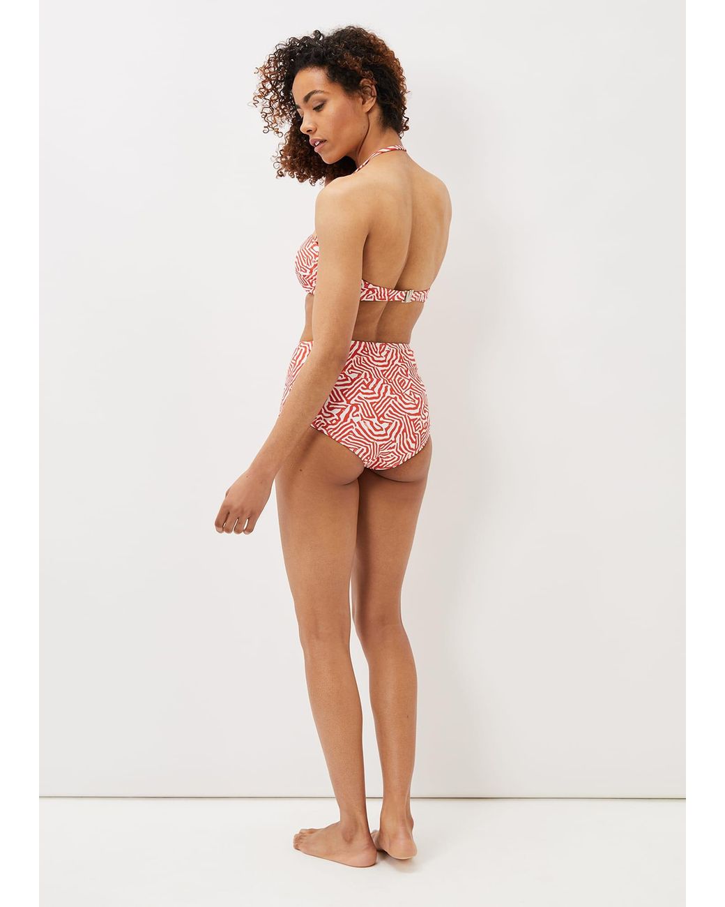 Phase Eight Multicolor Isabelle Zebra Bikini Top