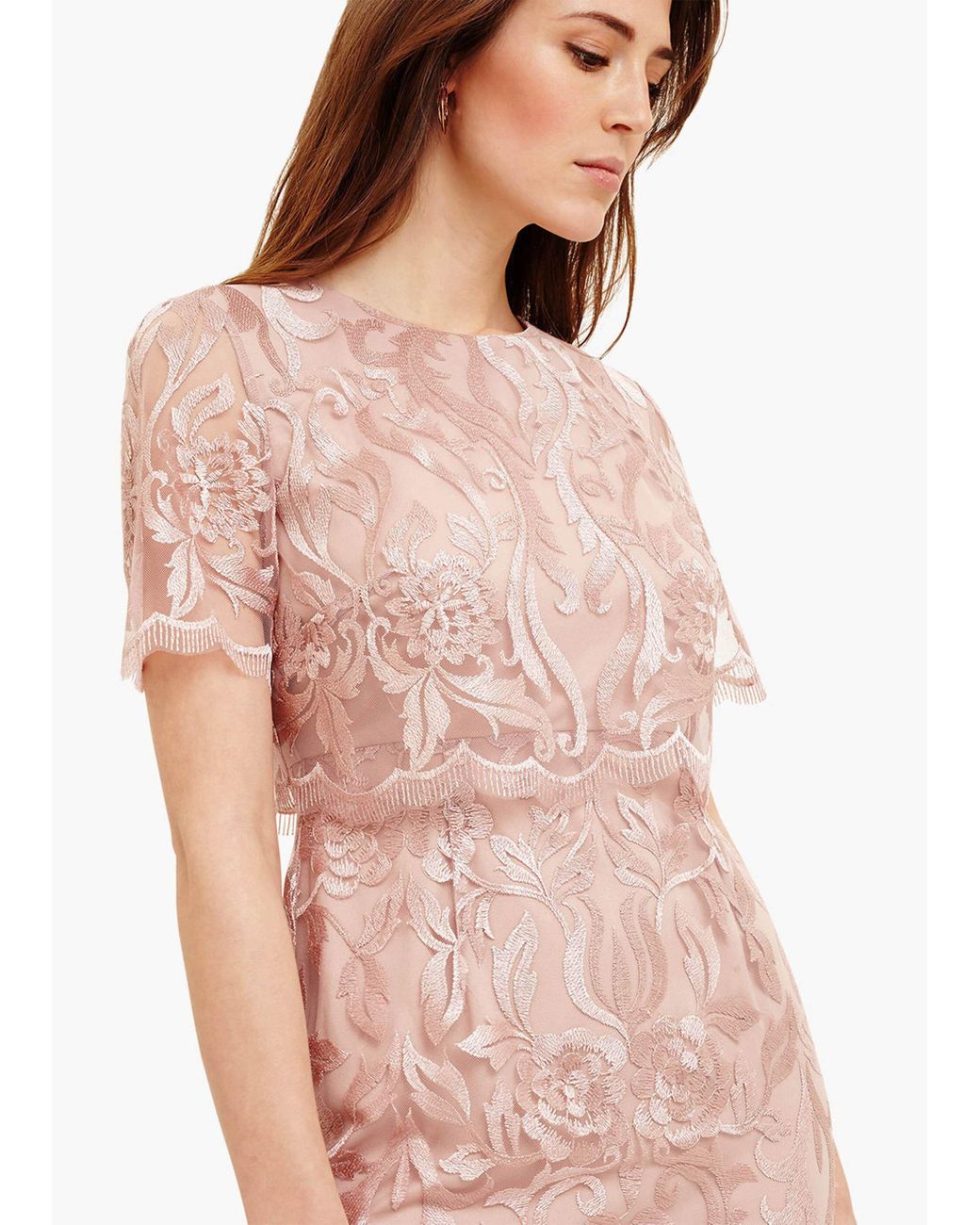 phase eight aida dress