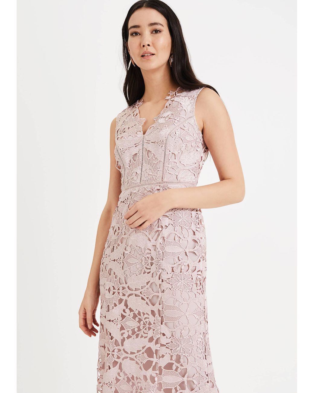 Phase eight trinity lace dress discount