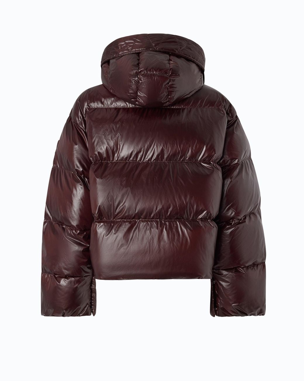 Pinko Brown Technical Canvas Jacket With Hood