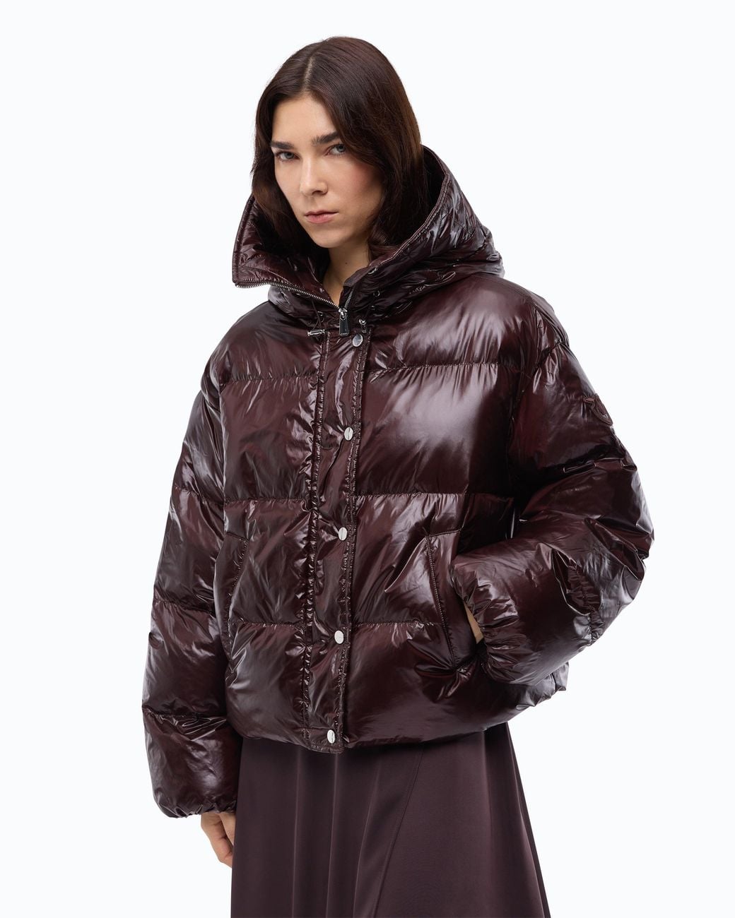 Pinko Brown Technical Canvas Jacket With Hood