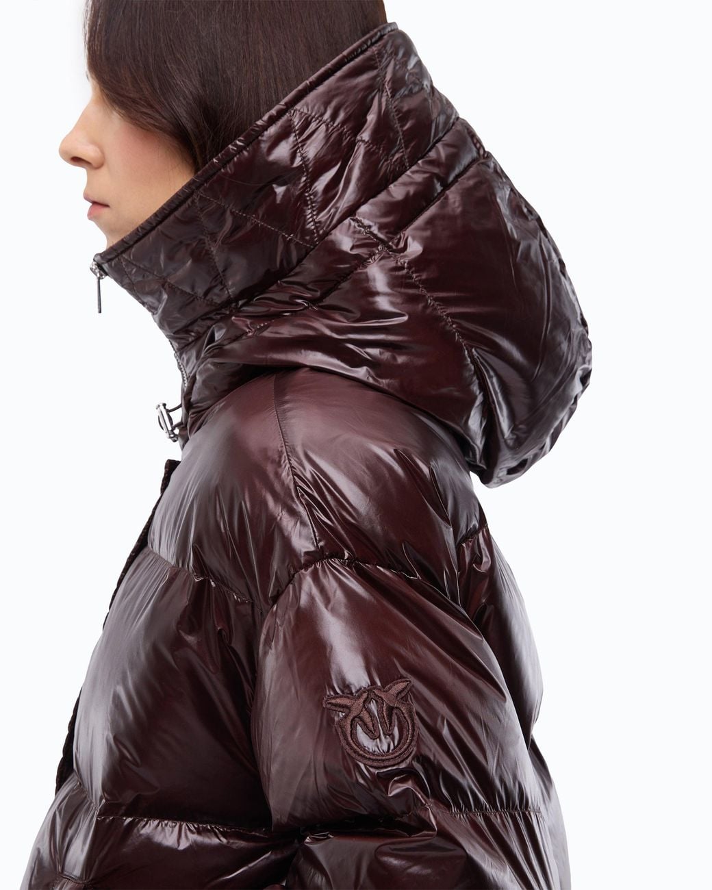 Pinko Brown Technical Canvas Jacket With Hood