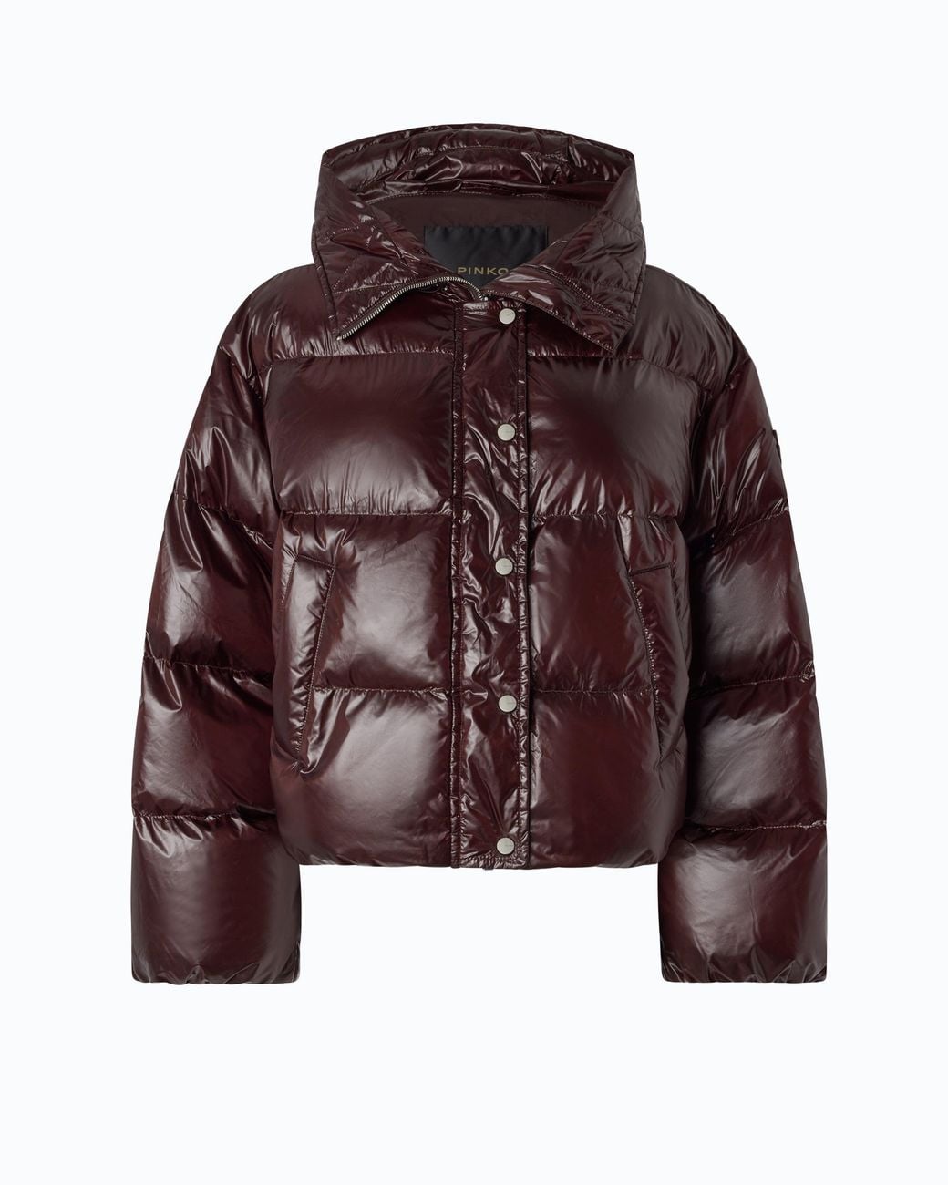 Pinko Brown Technical Canvas Jacket With Hood