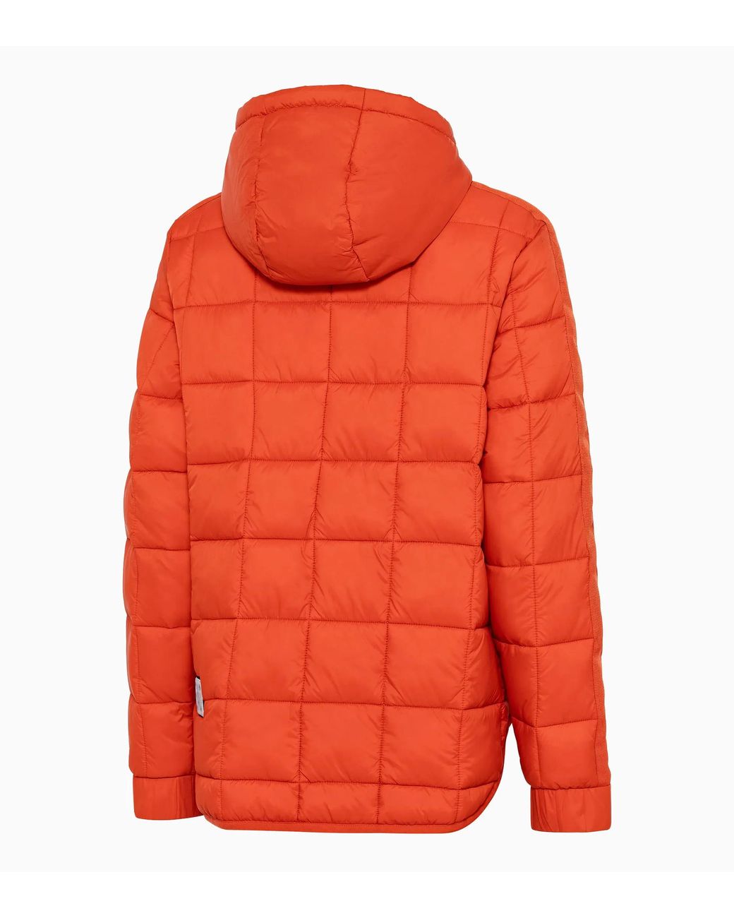 Porsche Lifestyle Orange Ahead Jacket