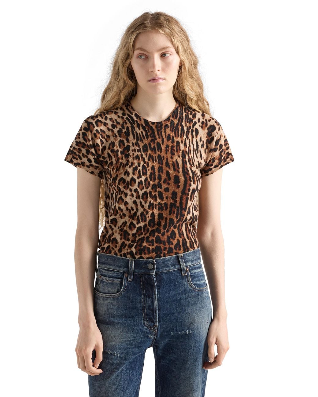 Prada Brown Short-Sleeved Printed Cashmere Sweater