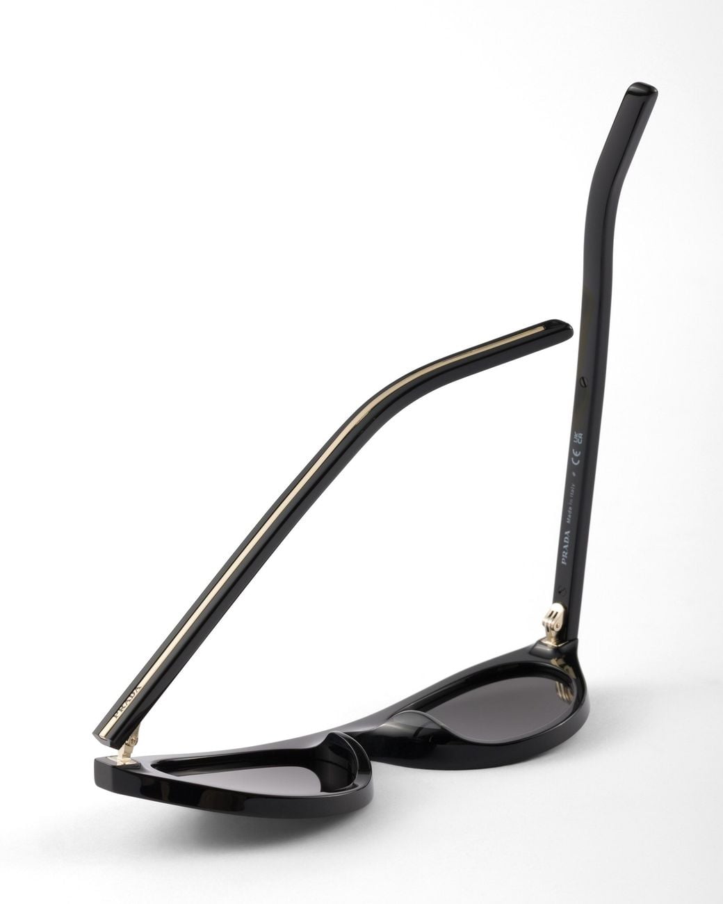 Prada Multicolor Sunglasses With The Iconic Metal Plaque