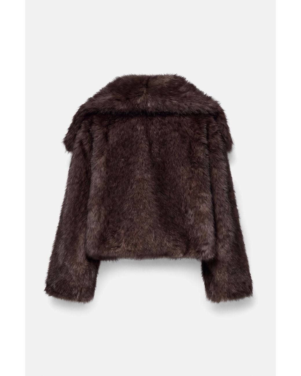 Cappotto Corto di Pull&Bear in Brown