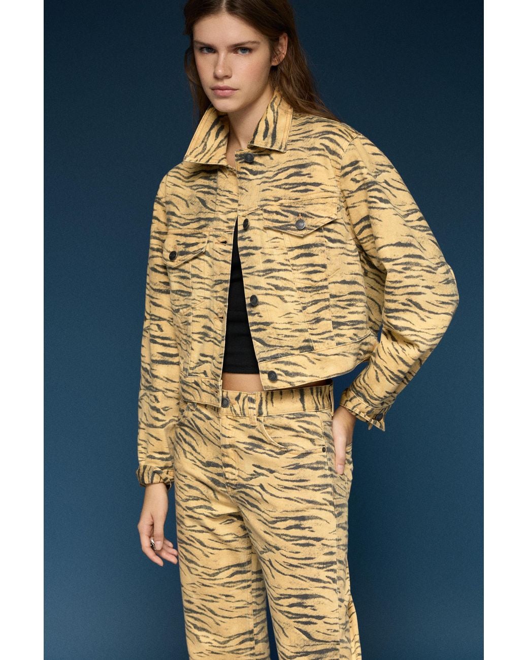 Pull&Bear Blue Straight-Leg Animal Print Jeans