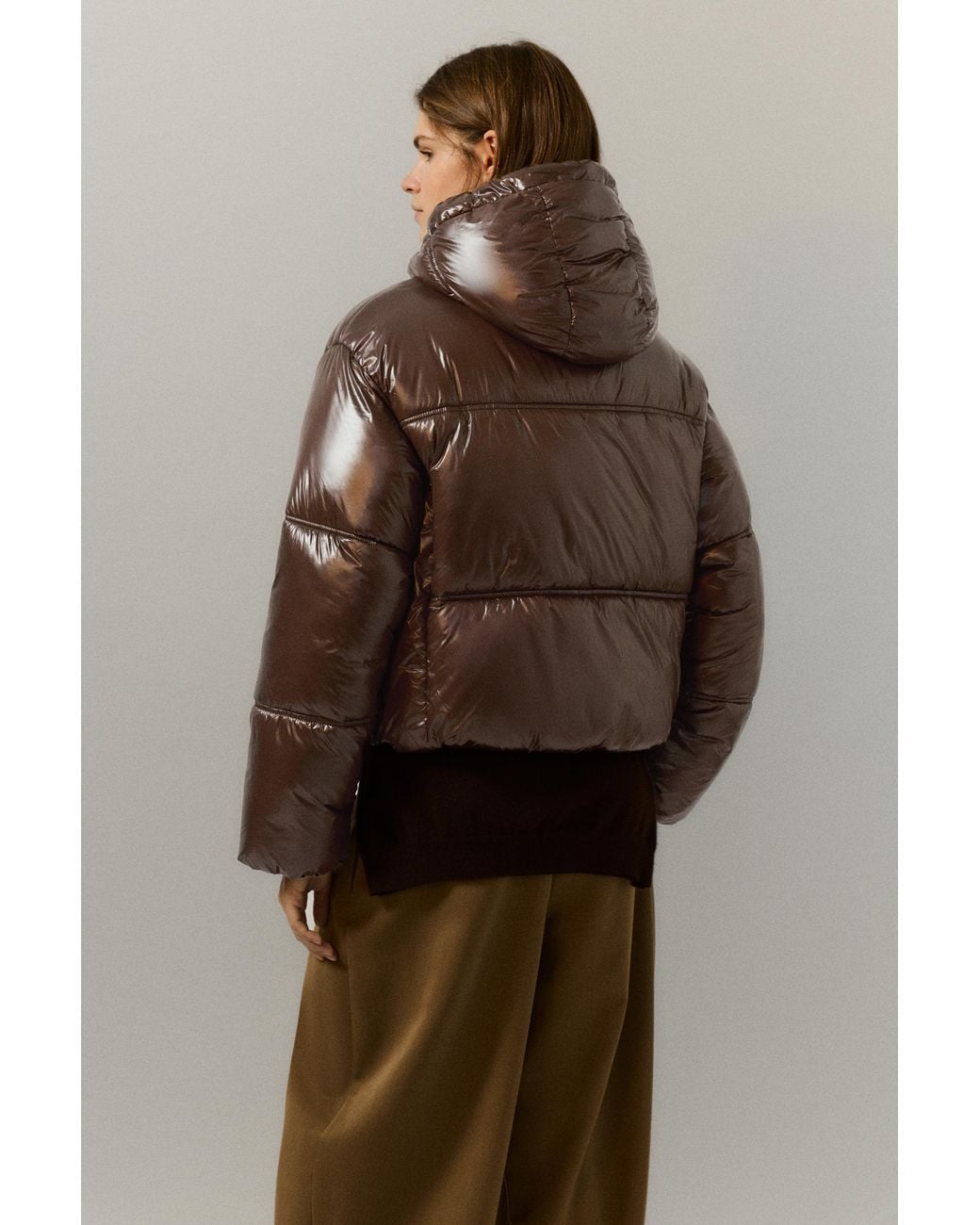 Pull&Bear Gewatteerd Jack Met Capuchon in het Brown