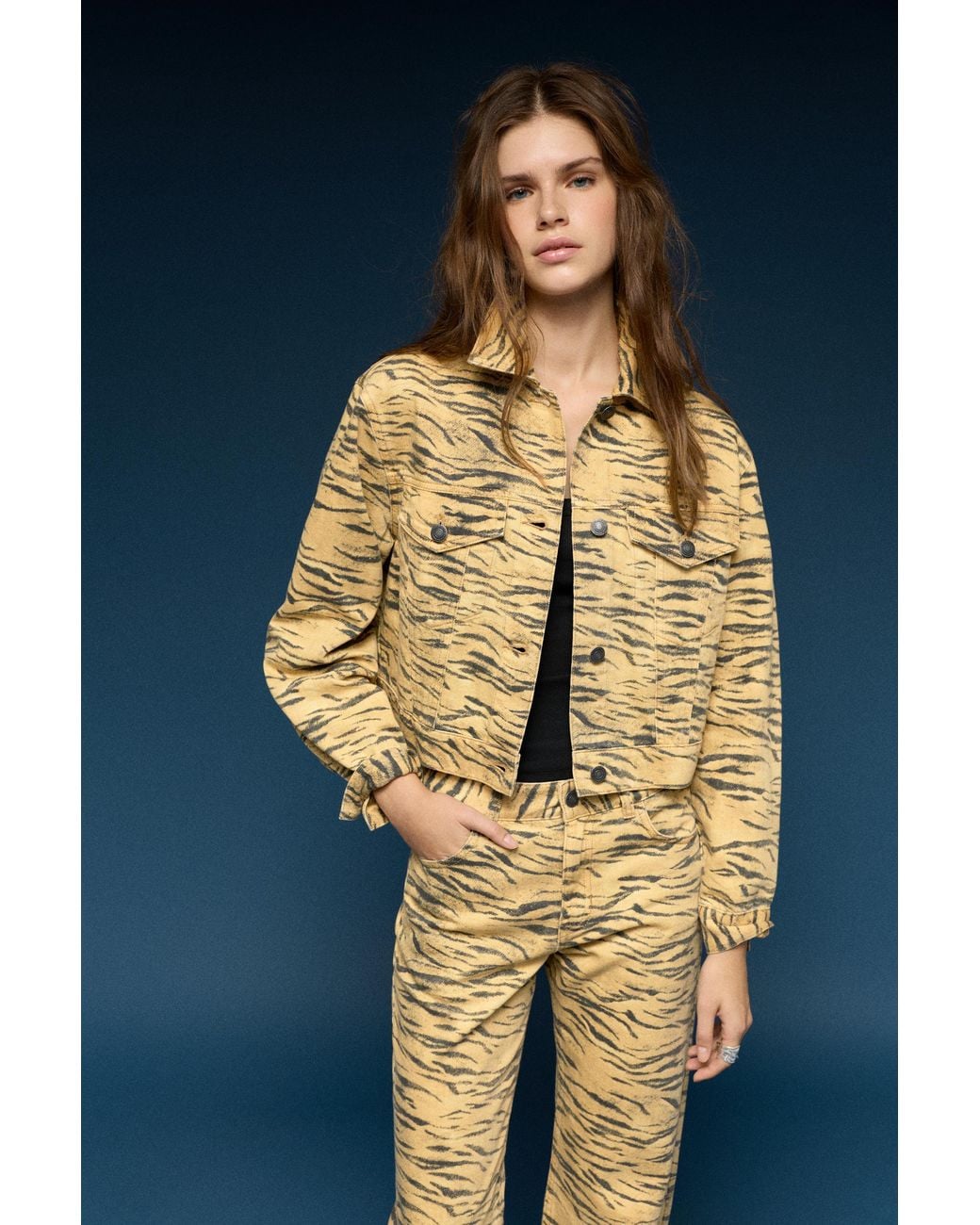 Pull&Bear Blue Animal Print Jacket