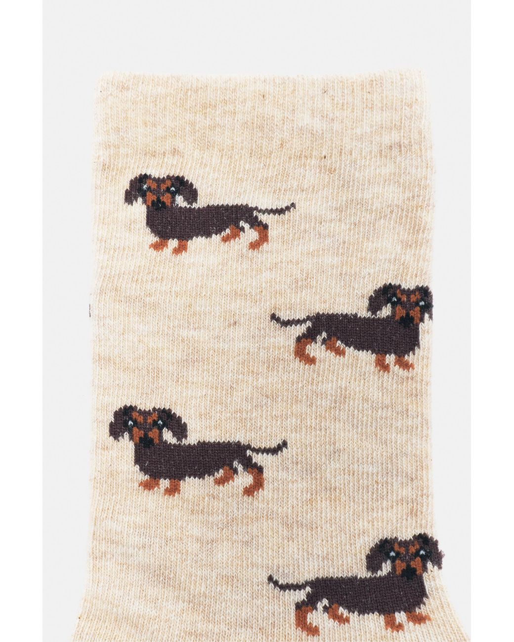 Pull&Bear Natural Dachshund Graphic Socks