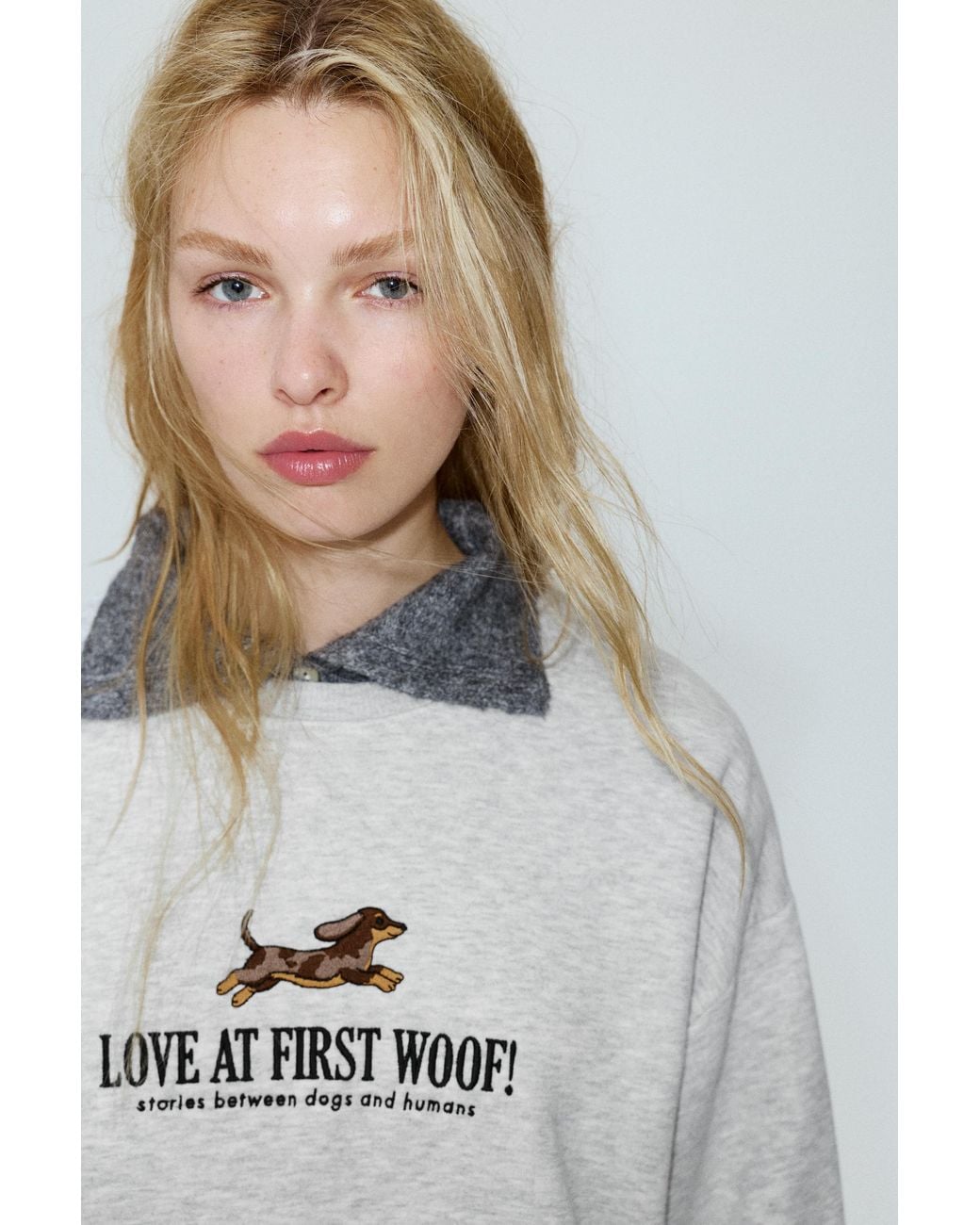 Pull&Bear Gray Dog Graphic Sweatshirt