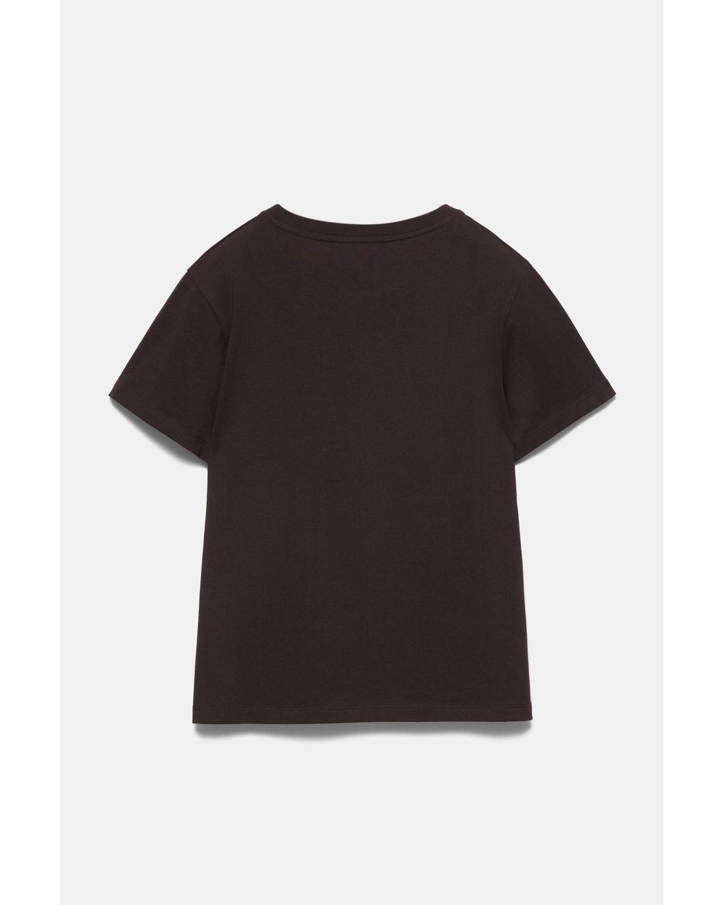 Pull&Bear Brown Short Sleeve T-Shirt 100% Cotton