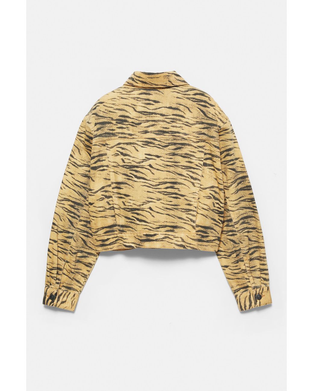 Pull&Bear Blue Animal Print Jacket