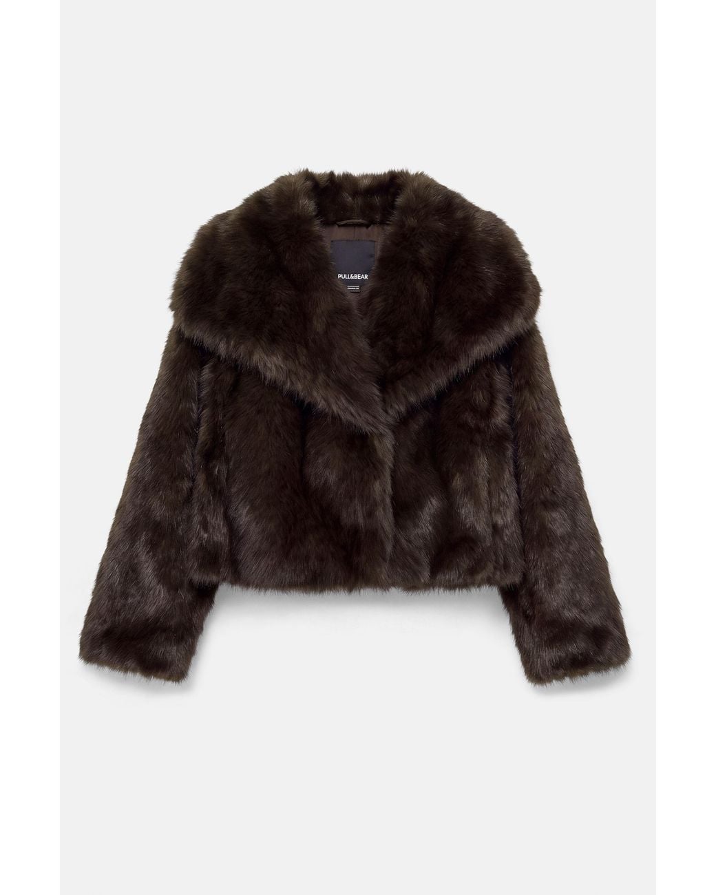 Cappotto Corto di Pull&Bear in Brown