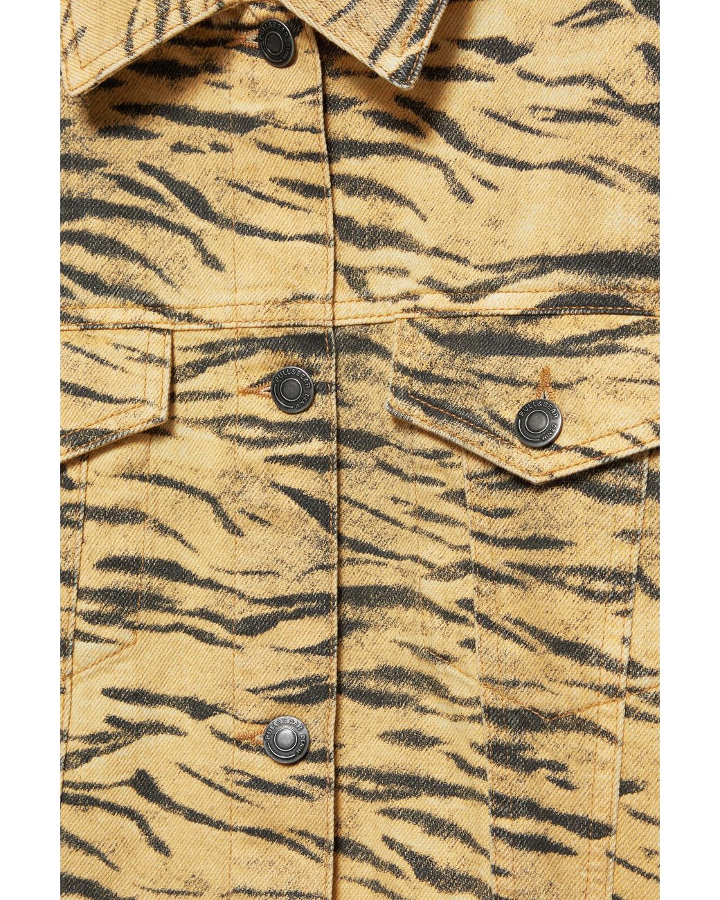 Pull&Bear Jack Met Dierenprint in het Blue