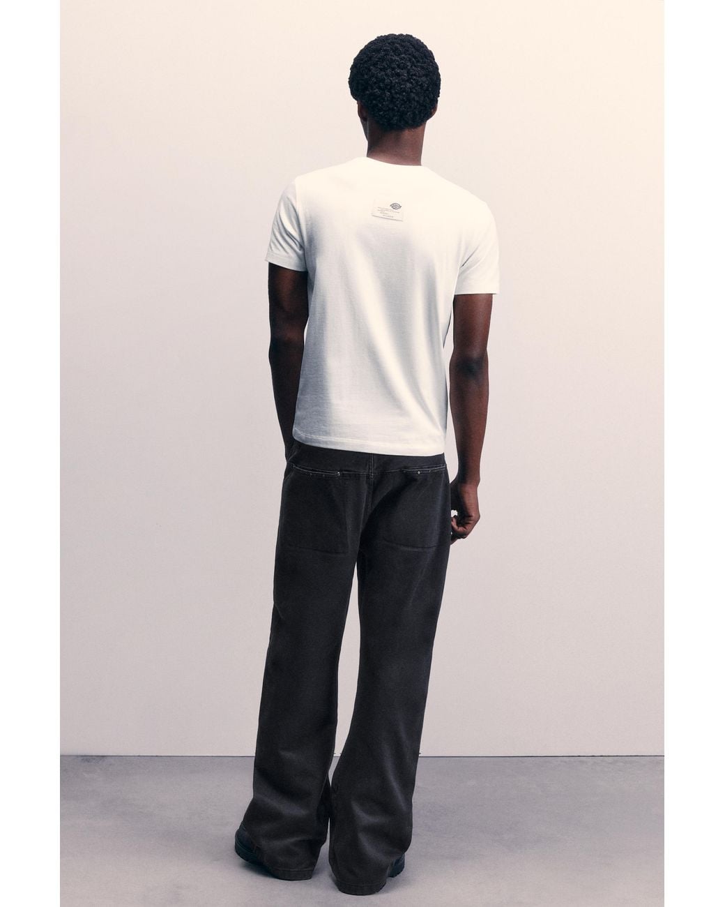Pull&Bear Dickies Straight Broek in het Blue voor heren