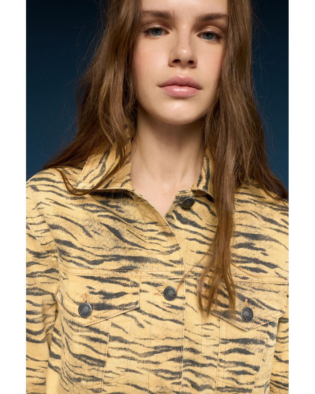 Pull&Bear Blue Animal Print Jacket