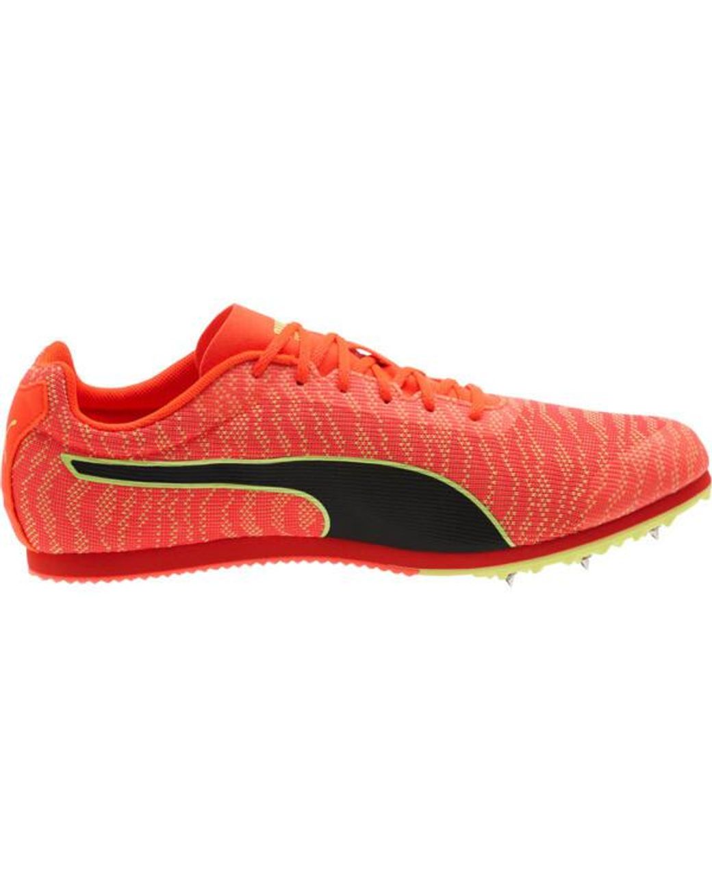 Evospeed star 6 hot sale