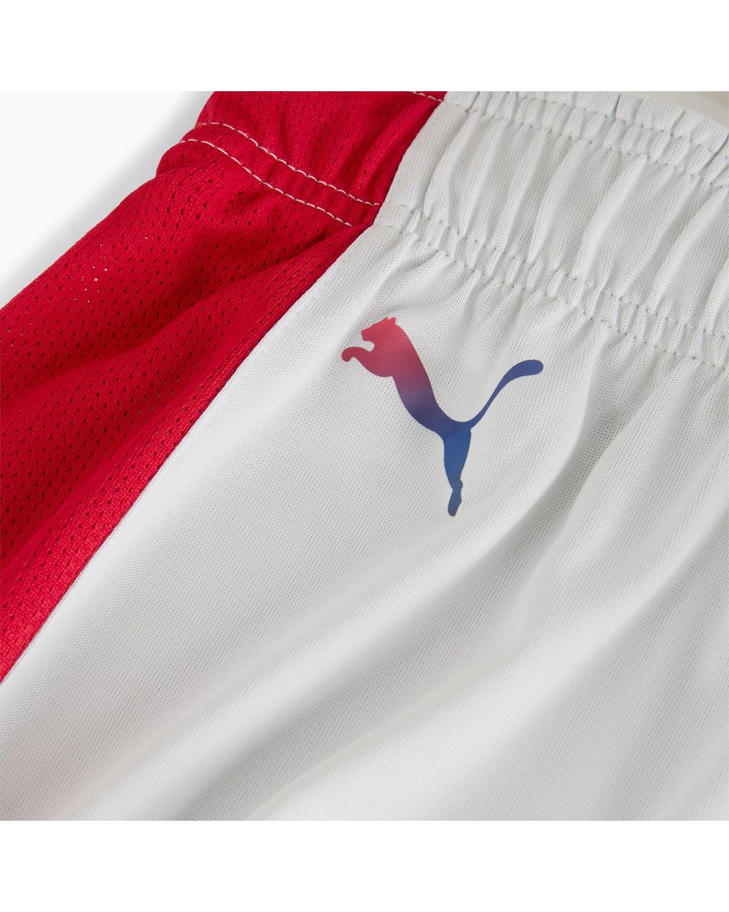 PUMA Saski Baskonia 24/25 Short in het Blue voor heren
