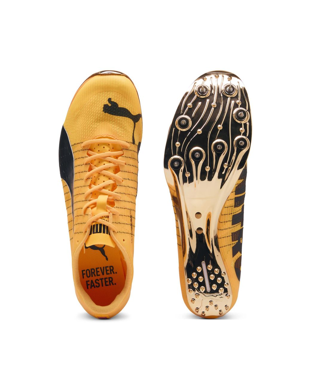PUMA Orange Evospeed 400 Nitro Elite 2 Spikes Schuhe