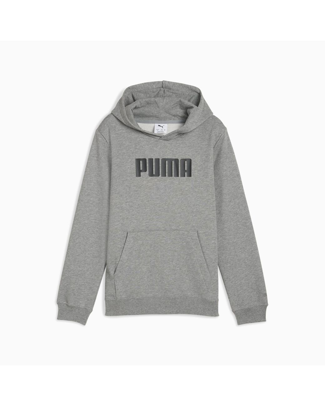 PUMA Essentials Logo Hoodie in het Gray