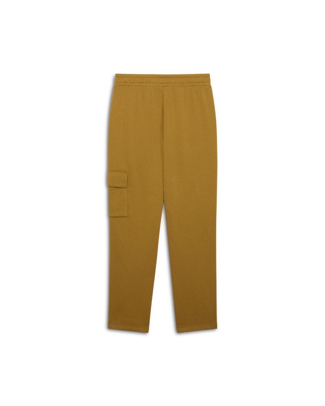 PUMA Brown Elevated Essentials Cargo Pants for men