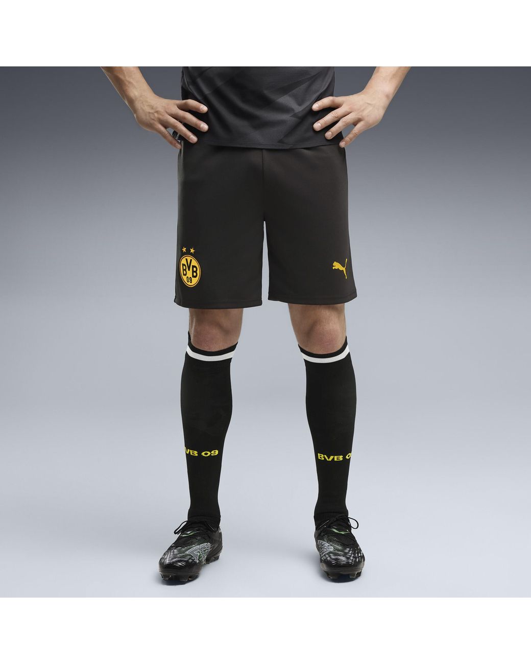 PUMA Black Borussia Dortmund 26/27 Shorts for men