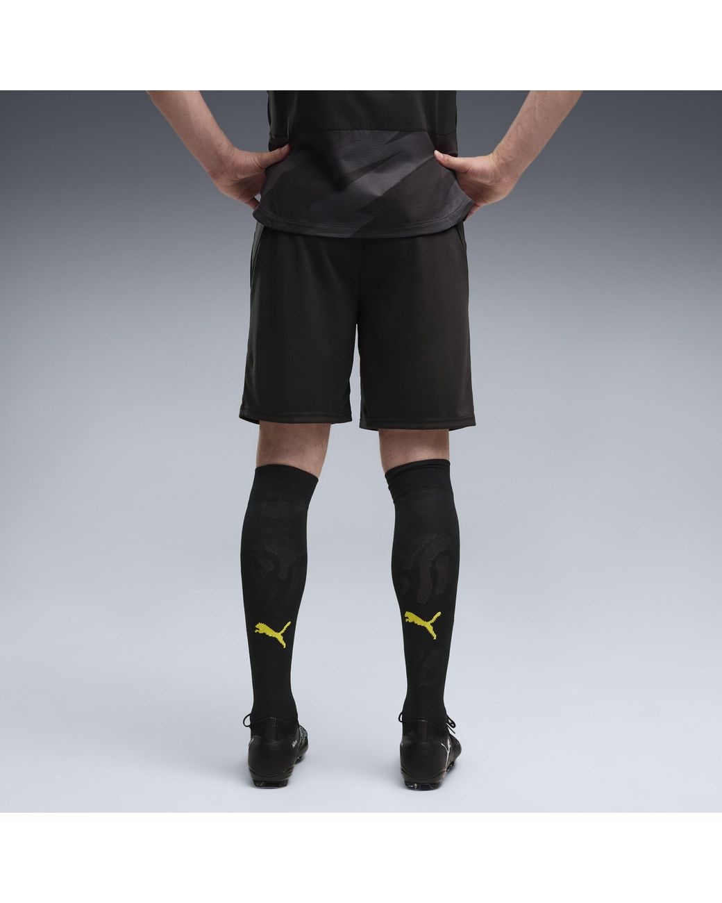 PUMA Black Borussia Dortmund 26/27 Shorts for men