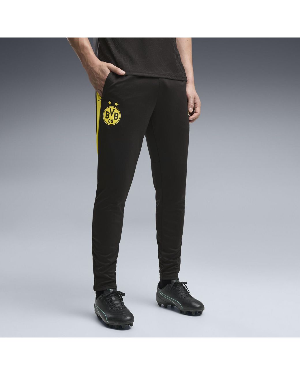 PUMA Black Borussia Dortmund Slim Training Pants for men