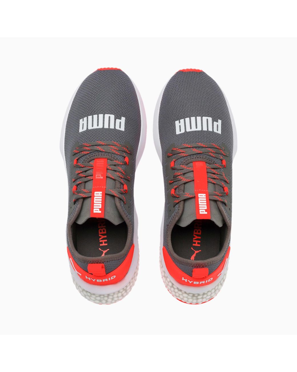 nike free Dynamo Bruin