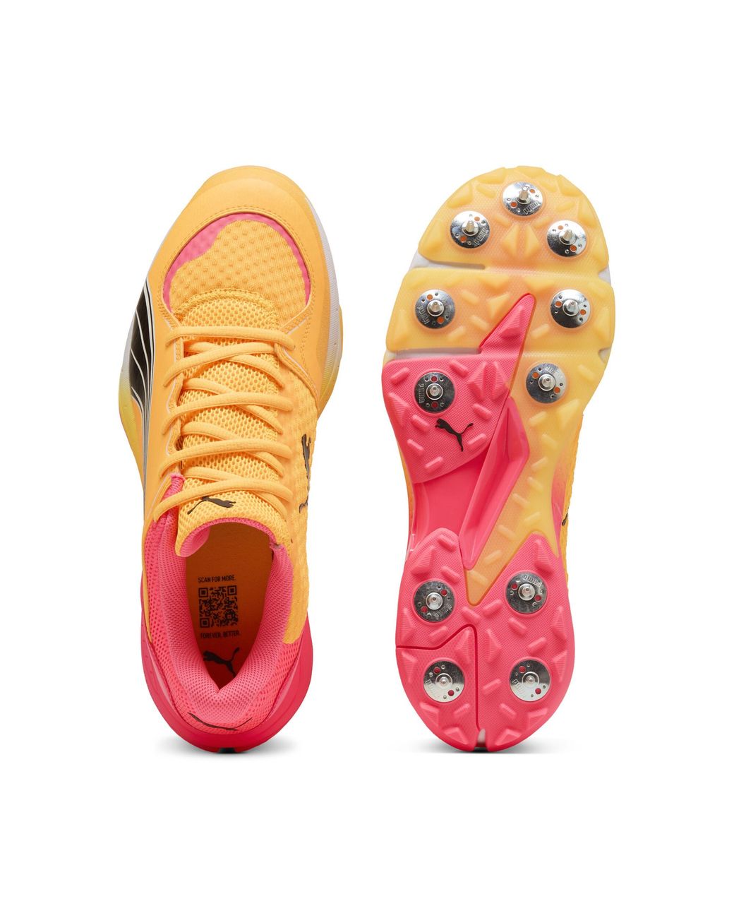 PUMA Red Spike 24.1 Cricket Shoe for men