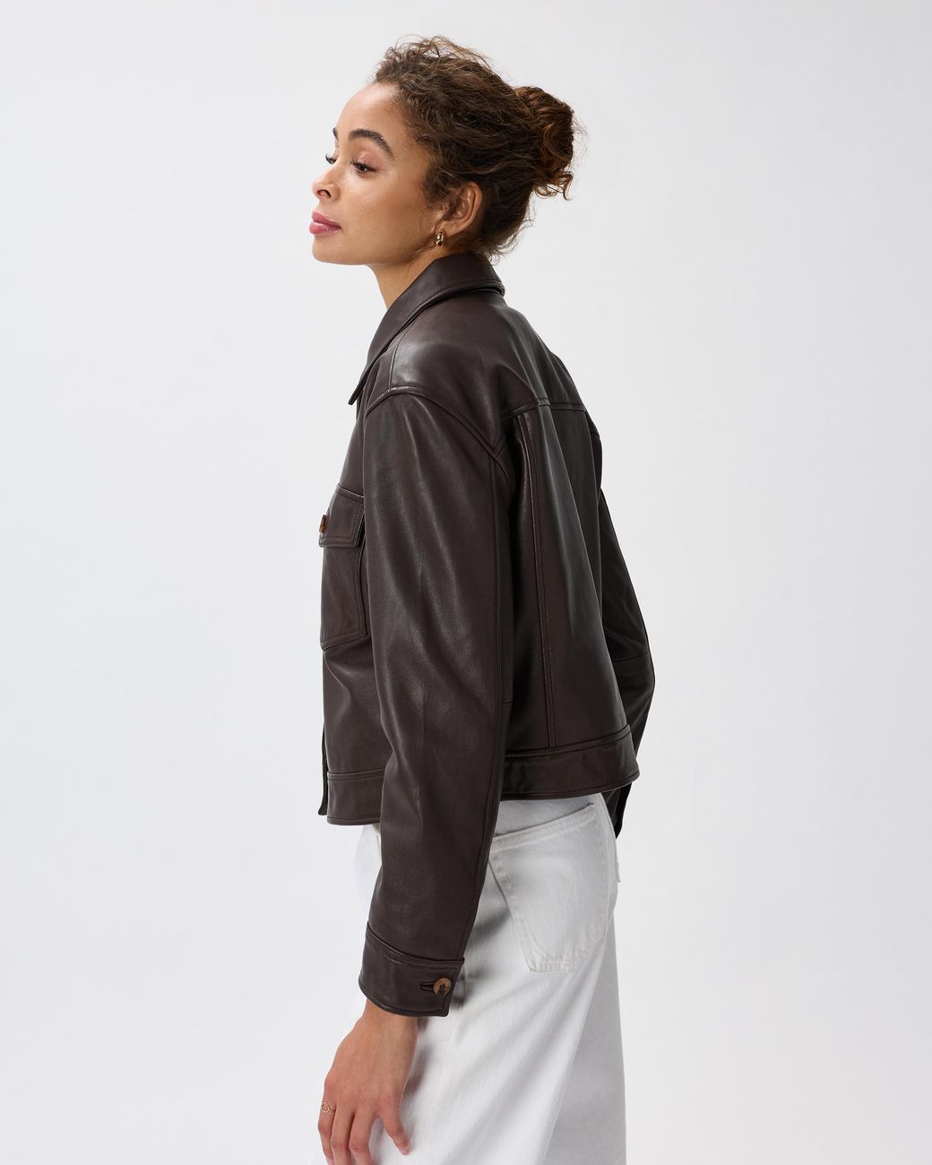Quince Brown Cropped Jacket, Leather