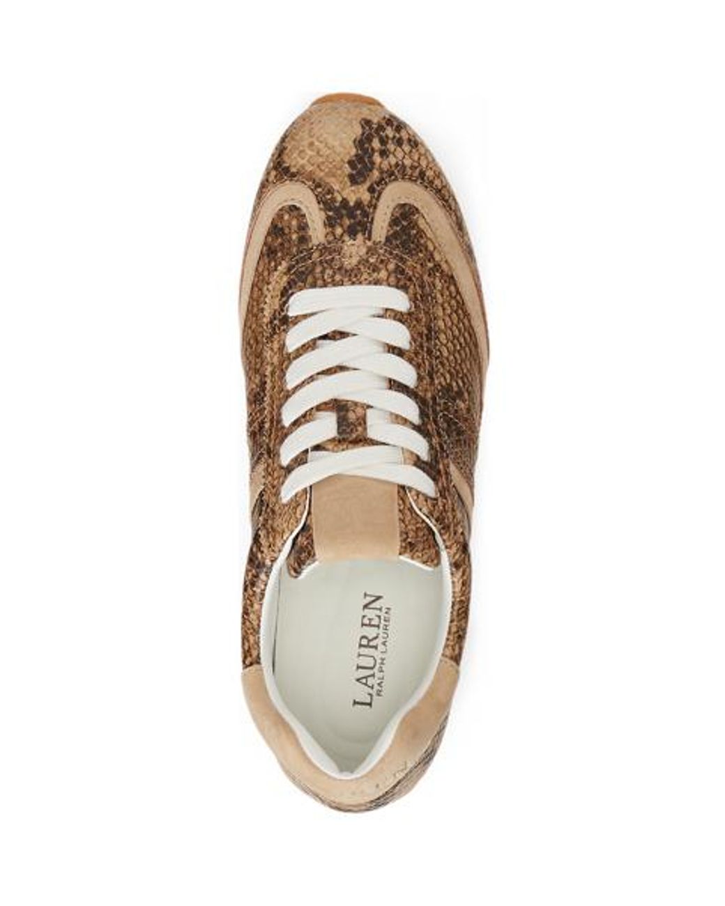 Ralph Lauren Brown Dani Python-Embossed Low-Profile Trainer