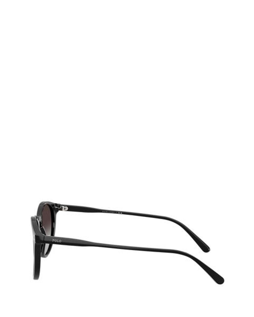 Polo Ralph Lauren Gray Polo Classic Pantos Sunglasses