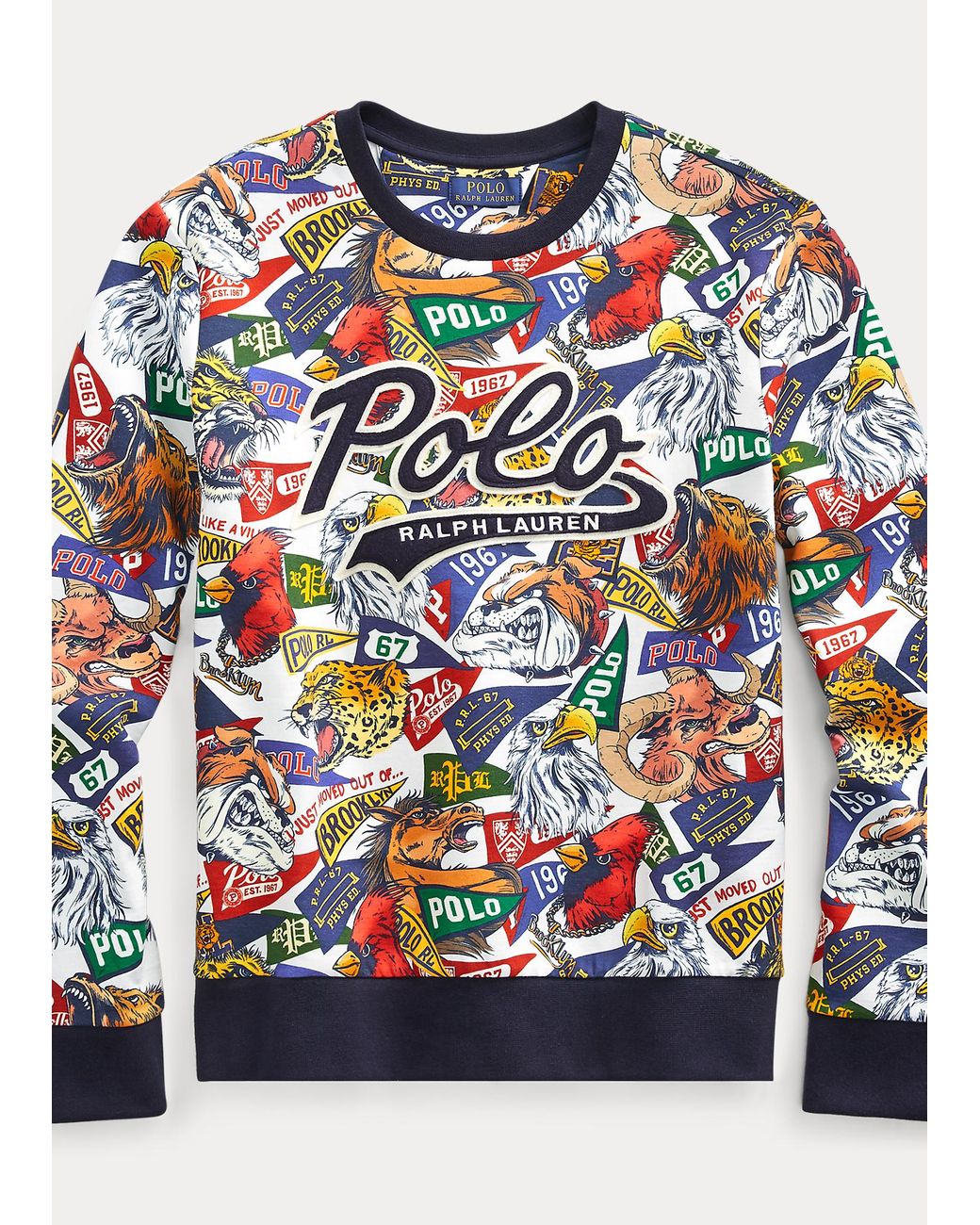 Polo Ralph Lauren Double-Knit Graphic Sweatshirt für Herren | Lyst AT