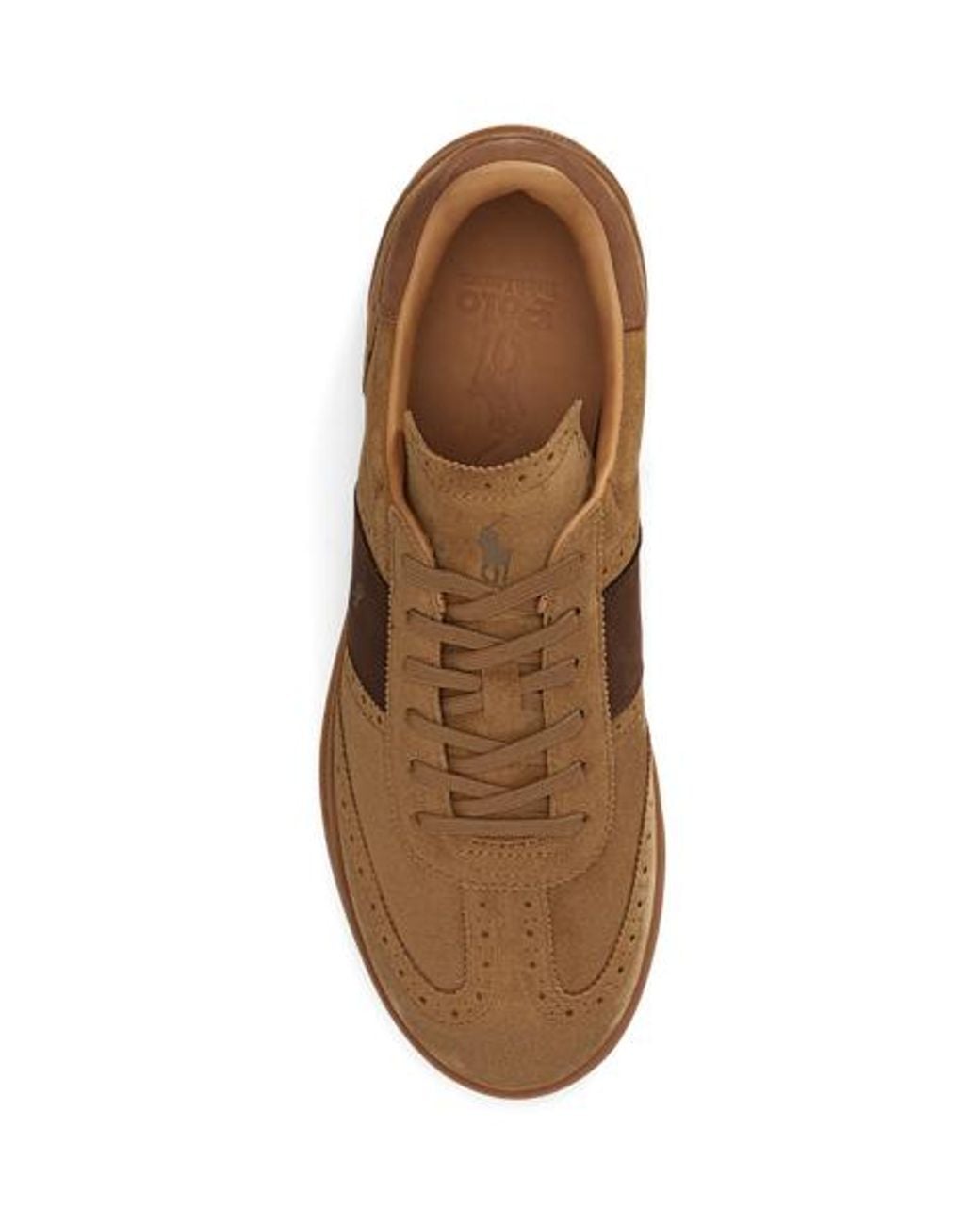Polo Ralph Lauren Brown Heritage Aera Suede Brogue Trainers for men