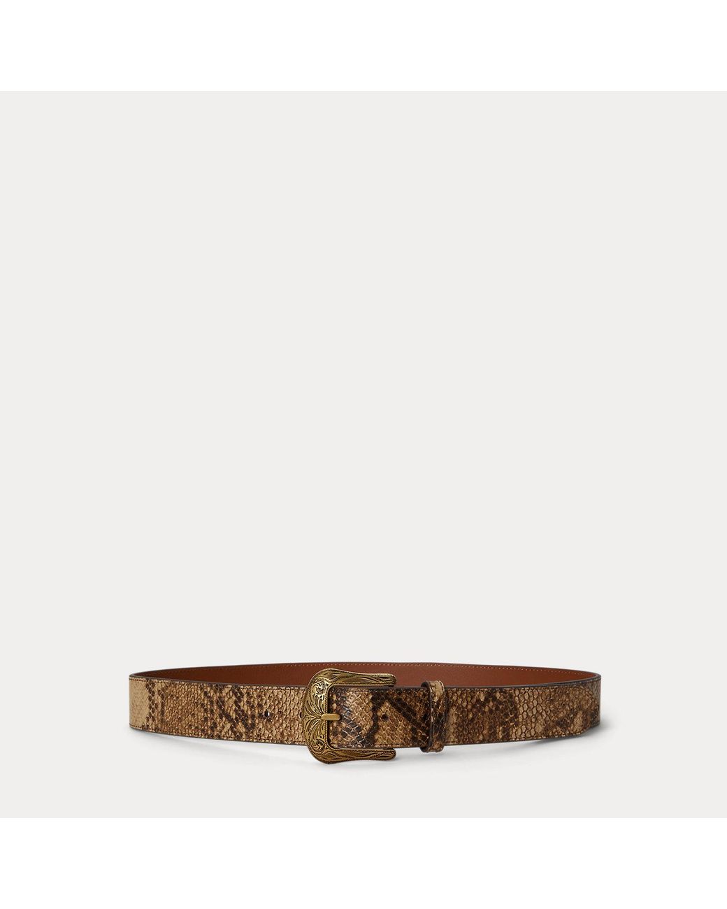 Ralph Lauren Brown Tooled-Buckle Python-Embossed Belt